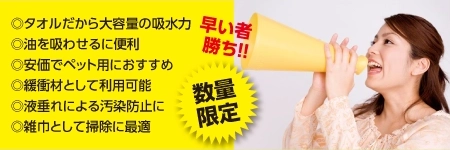 抜け 破れ しみ ミスプリント 廃盤商品等の訳あり B級商品