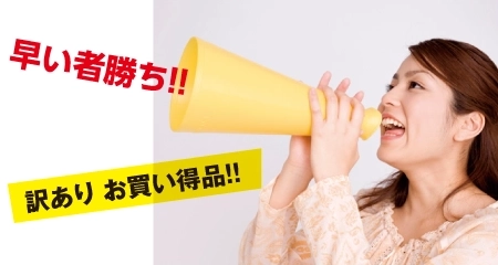 訳ありお買い得品 早い者勝